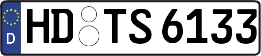 HD-TS6133
