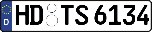 HD-TS6134