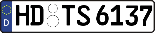 HD-TS6137