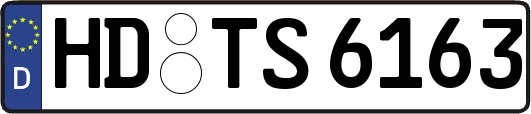 HD-TS6163