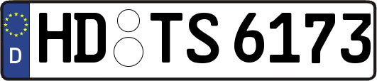 HD-TS6173