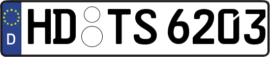 HD-TS6203