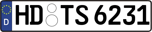 HD-TS6231