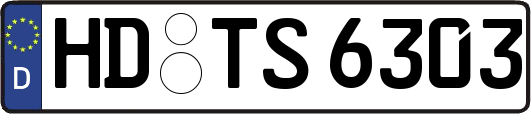 HD-TS6303