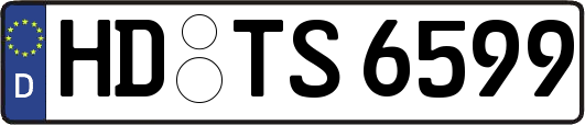 HD-TS6599