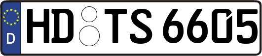 HD-TS6605