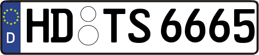 HD-TS6665