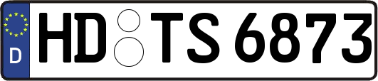 HD-TS6873