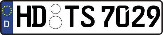 HD-TS7029