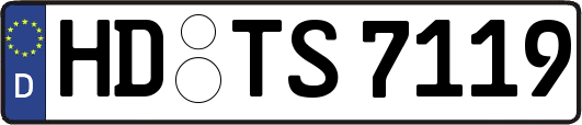 HD-TS7119