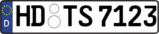 HD-TS7123