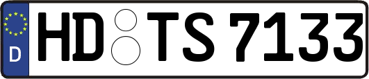 HD-TS7133