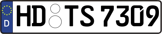 HD-TS7309