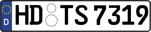 HD-TS7319