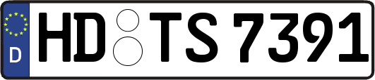 HD-TS7391