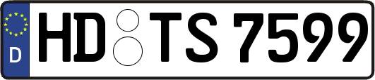 HD-TS7599