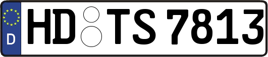 HD-TS7813
