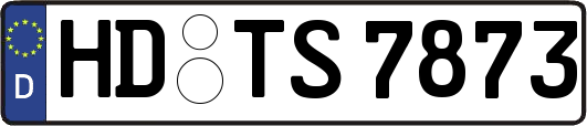 HD-TS7873