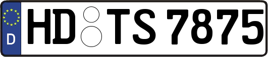 HD-TS7875