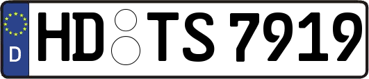 HD-TS7919