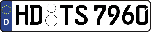 HD-TS7960