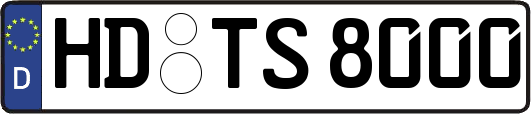 HD-TS8000