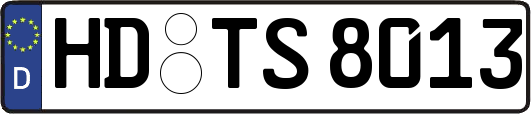 HD-TS8013