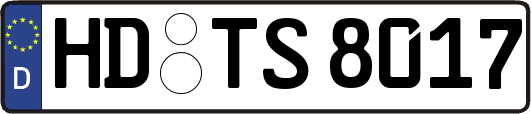 HD-TS8017