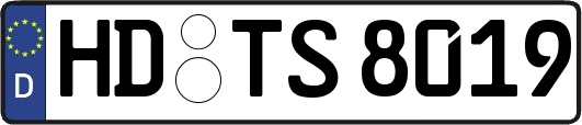 HD-TS8019