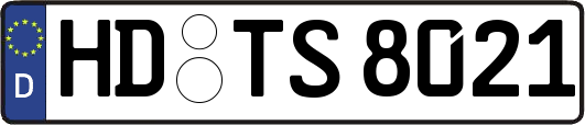 HD-TS8021