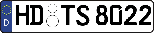 HD-TS8022