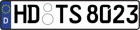 HD-TS8023