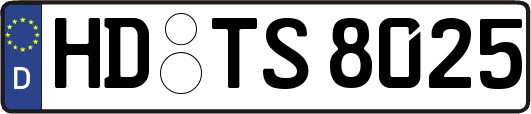HD-TS8025