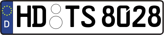 HD-TS8028