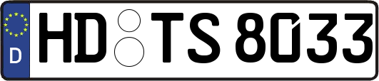 HD-TS8033