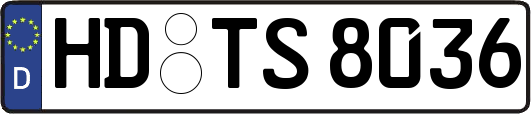 HD-TS8036