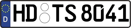 HD-TS8041
