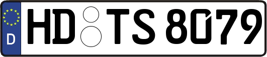 HD-TS8079