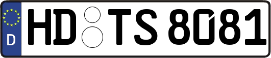 HD-TS8081