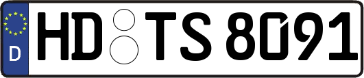 HD-TS8091