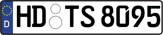 HD-TS8095