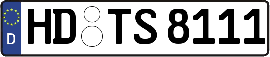 HD-TS8111