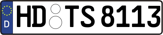 HD-TS8113