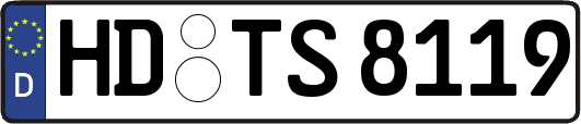 HD-TS8119