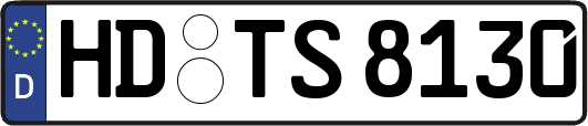 HD-TS8130