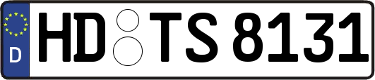 HD-TS8131