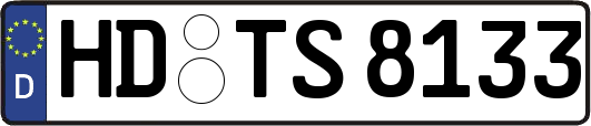 HD-TS8133