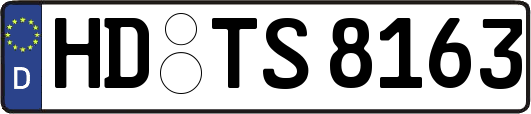 HD-TS8163