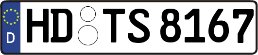 HD-TS8167