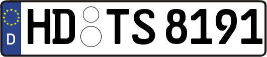 HD-TS8191